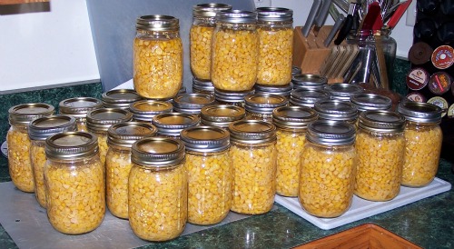 fresh-canned-corn-home-canning